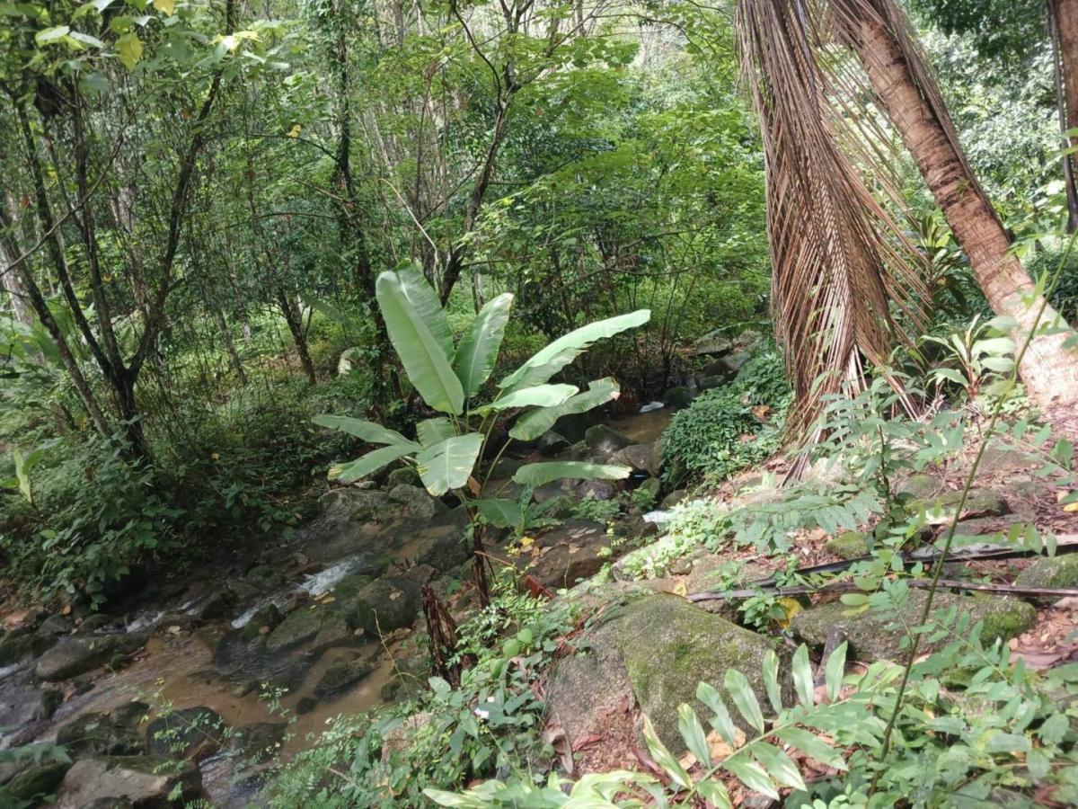 ขายกิจการ “บ้านสกุลลี รีสอร์ท” พร้อมที่ดิน 12 ไร่ 159 ตารางวา ราคาเพียง 50 ล้านบาท ตำบลนาเตย อำเภอท้ายเหมือง จังหวัดพังงา