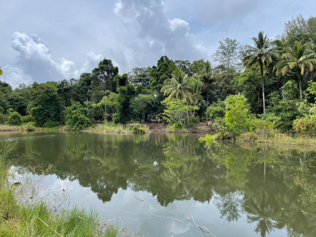 ขายที่ดินทำเลศักยภาพ โซนเขาหลัก ตรงข้ามโรงแรม The Sarojin  เนื้อที่ 9 ไร่ 263 ตารางวา ราคาไร่ละ 4 ล้านบาท ตำบลคึกคัก อำเภอตะกั่วป่า จังหวัดพังงา