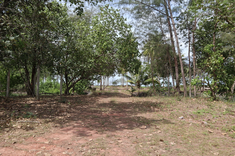 ที่ดินติดทะเลอันดามัน หน้าหาด 475 เมตร — โอกาสลงทุนหายากที่ ตะกั่วป่า ฟังงา พร้อมโอนกรรมสิทธิ์ทันที