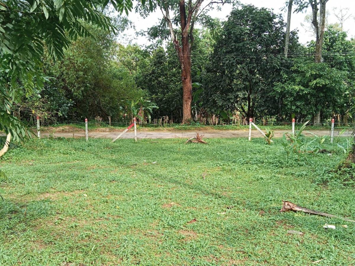 ขายที่ดินทำเลดี ใกล้ทะเลท้ายเหมือง 3 ไร่ 297.7 ตรว ราคาเพียง 3.5 ล้านบาท ตำบลหล่อยูง อำเภอตะกั่วทุ่ง จังหวัดพังงา