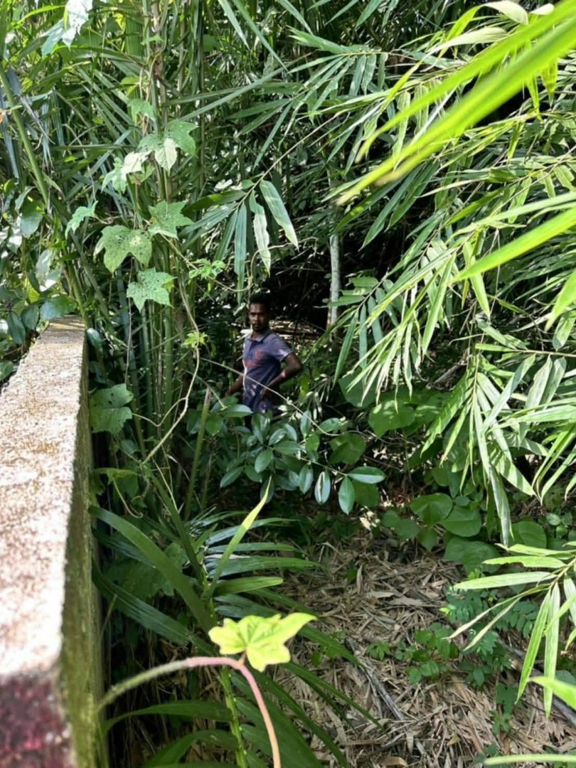 ขายที่ดินทำเลดี แปลงสวย เนื้อที่ 62 ตารางวา ราคาขาย: 1,750,000 บาท ตำบลทับปริก อำเภอเมืองกระบี่ จังหวัดกระบี่